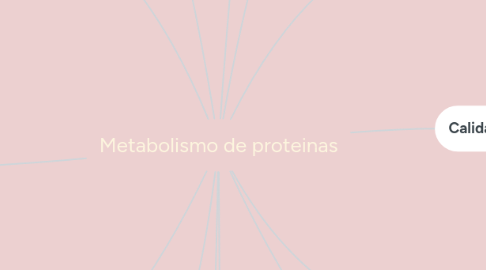 Mind Map: Metabolismo de proteinas