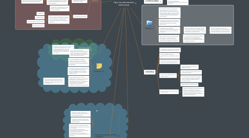 Mind Map: Tipos de ordenamiento institucional.