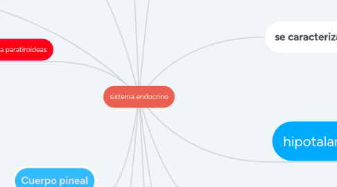 Mind Map: sistema endocrino