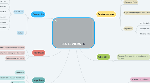 Mind Map: LES LEVIERS