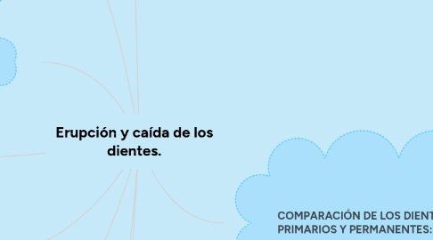 Mind Map: Erupción y caída de los dientes.