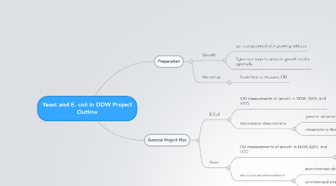 Mind Map: Yeast and E. coli in DDW Project Outline