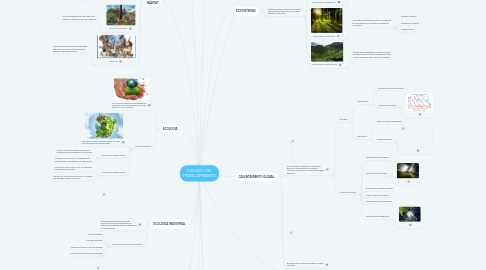 Mind Map: CUIDADO DEL MEDIO AMBIENTE