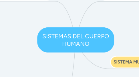 Mind Map: SISTEMAS DEL CUERPO HUMANO