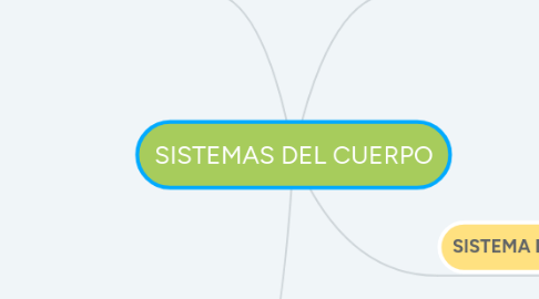 Mind Map: SISTEMAS DEL CUERPO