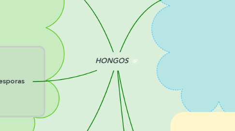 Mind Map: HONGOS