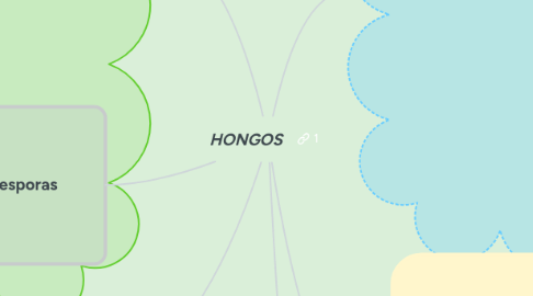 Mind Map: HONGOS