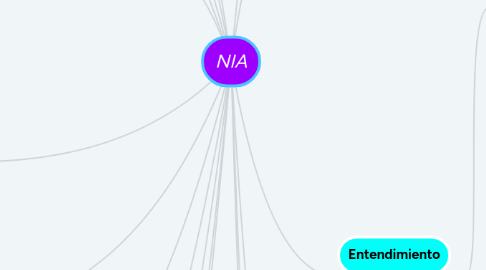 Mind Map: NIA