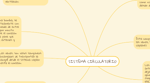 Mind Map: SISTEMA CIRCULATORIO