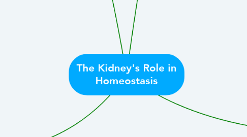 Mind Map: The Kidney's Role in Homeostasis