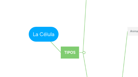 Mind Map: La Célula