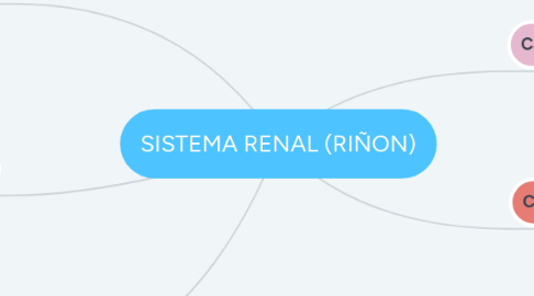 Mind Map: SISTEMA RENAL (RIÑON)