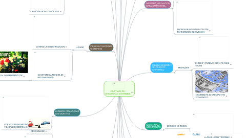 Mind Map: OBJETIVOS DEL DESARROLLO SOSTENIBLE