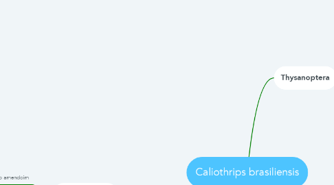 Mind Map: Caliothrips brasiliensis