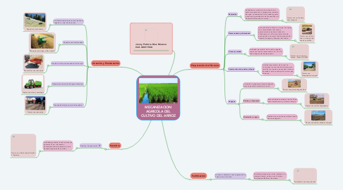 Mind Map: MECANIZACION AGRICOLA DEL CULTIVO DEL ARROZ