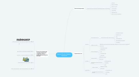 Mind Map: 3D косы. Создание стратегии трафика