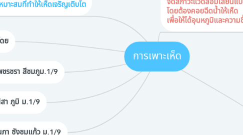 Mind Map: การเพาะเห็ด