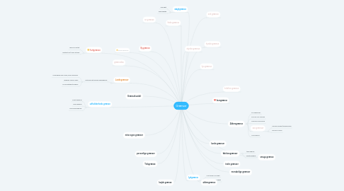 Mind Map: Grænser