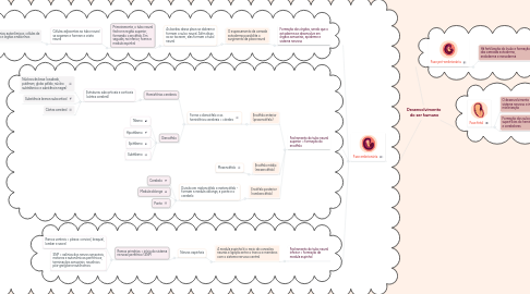 Mind Map: Desenvolvimento do ser humano