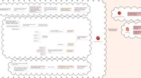 Mind Map: Desenvolvimento  do ser humano