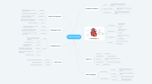 Mind Map: Hjerte & Kredsløb