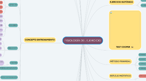 Mind Map: FISIOLOGÍA DEL EJERCICIO