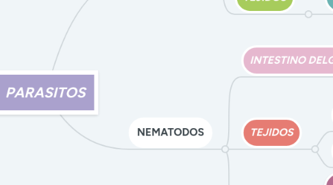 Mind Map: PARASITOS