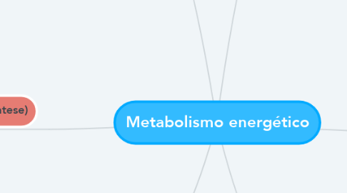 Mind Map: Metabolismo energético