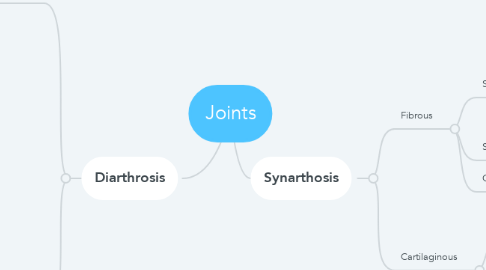 Mind Map: Joints