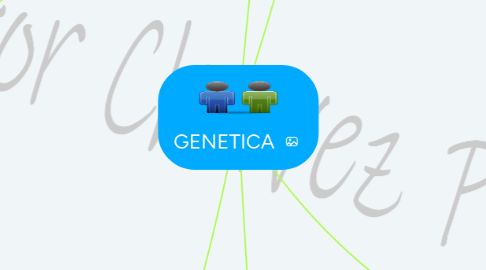 Mind Map: GENETICA