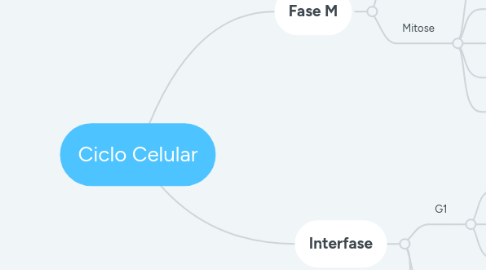 Mind Map: Ciclo Celular