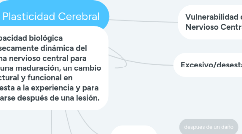 Mind Map: Plasticidad Cerebral