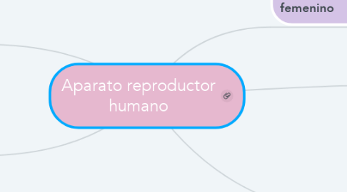 Mind Map: Aparato reproductor humano