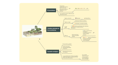 Mind Map: El ecosistema: componentes e interrelaciones: En el tiempo, sucesión.