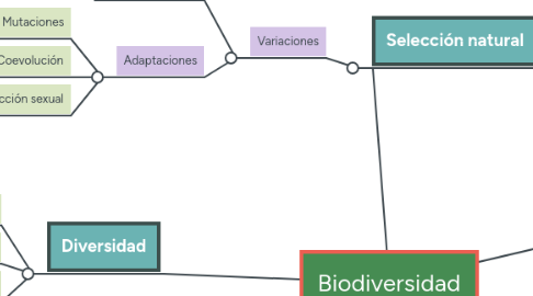 Mind Map: Biodiversidad