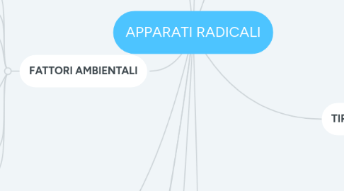 Mind Map: APPARATI RADICALI