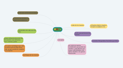 Mind Map: 9