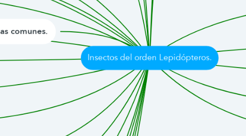 Mind Map: Insectos del orden Lepidópteros.
