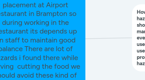 Mind Map: As i am culinary student and i am doing my field placement at Airport restaurant in Brampton so during working in the Restaurant its depends up on staff to maintain good balance There are lot of hazards i found there while serving cutting the food we should avoid these kind of situations and protect them selves from hazards