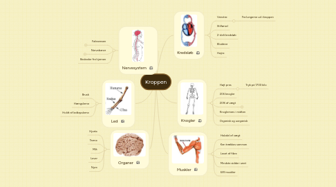 Mind Map: Kroppen