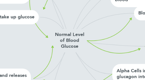 Mind Map: Normal Level of Blood Glucose