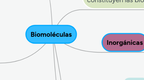 Mind Map: Biomoléculas