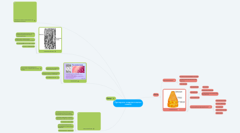 Mind Map: Препараты соединительных такней