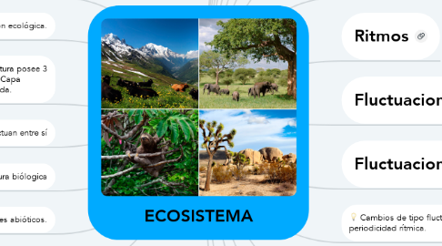 Mind Map: ECOSISTEMA