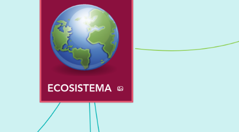 Mind Map: ECOSISTEMA