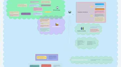 Mind Map: El Ecosistema