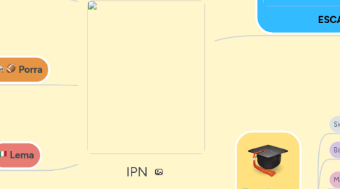 Mind Map: IPN