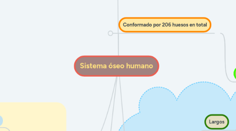 Mind Map: Sistema óseo humano