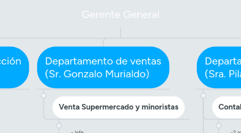 Mind Map: Gerente General