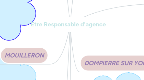 Mind Map: Etre Responsable d'agence